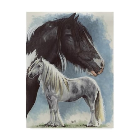 Barbara Keith 'Gypsy Cob' Canvas Art,24x32